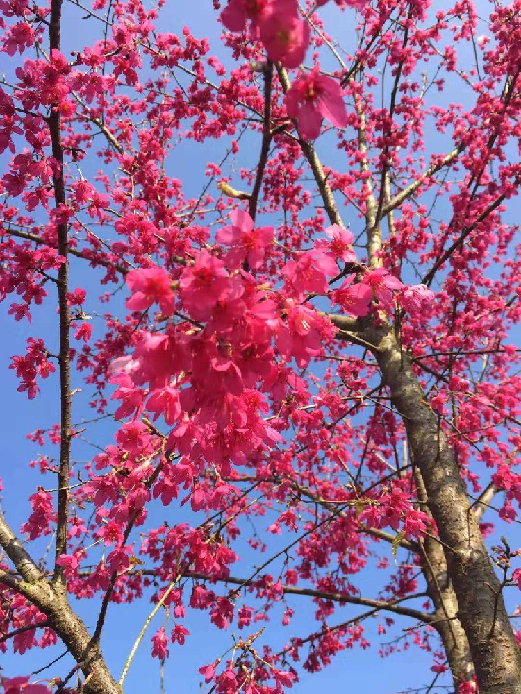 1669343364162078.png 1669343364162078.png