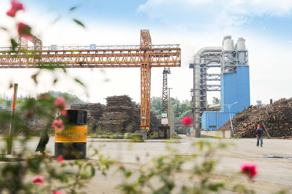 來(lái)自央企的春日明信片，請(qǐng)查收