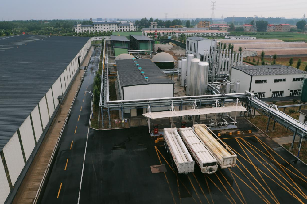 在永安林業(yè)的經(jīng)營(yíng)板塊挖呀挖呀挖，種轉(zhuǎn)型的種子，開高質(zhì)量發(fā)展的花