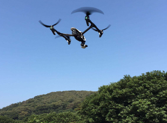 好家伙，林還能這么“管”：中林集團科技賦能智慧林業(yè)監(jiān)管