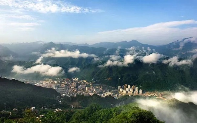 余紅輝接受新華社《瞭望》專訪——以林固碳 以林富農(nóng)