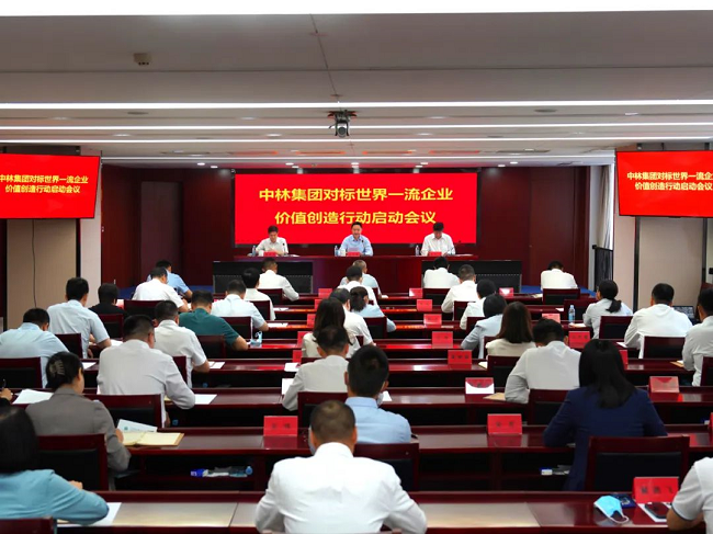 中林集團(tuán)召開對標(biāo)世界一流企業(yè)價值創(chuàng)造行動啟動會議