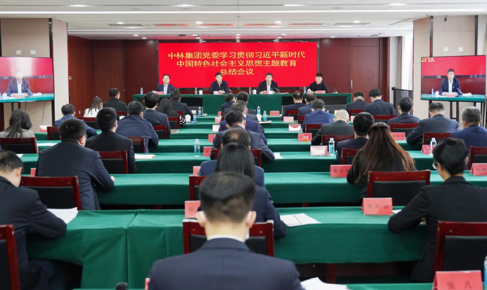 中林集團(tuán)黨委召開(kāi)學(xué)習(xí)貫徹習(xí)近平新時(shí)代中國(guó)特色社會(huì)主義思想主題教育總結(jié)會(huì)議