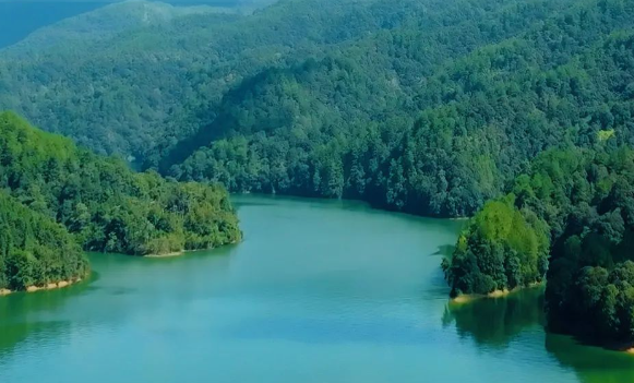 世界地球日｜保護地球，不止今天