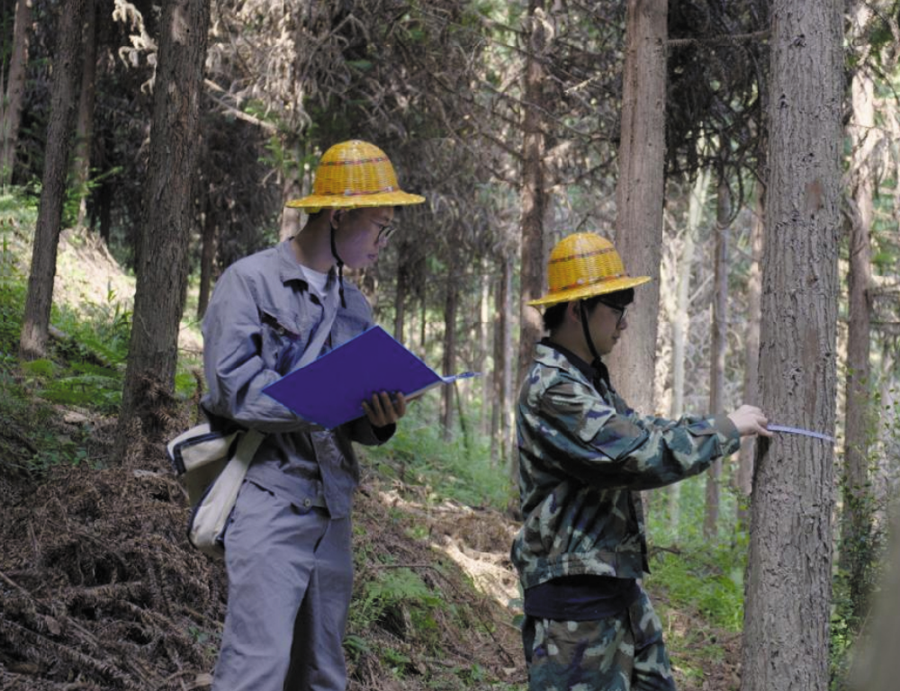 “五一”國際勞動節(jié) | 向他們致敬！
