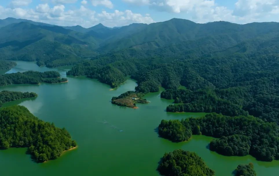 只此青綠，共繪生態(tài)美|永安林業(yè)發(fā)布首份ESG報(bào)告！