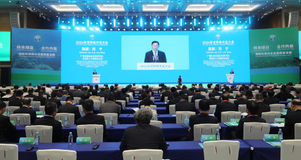 中林集團攜多個林木產(chǎn)品亮相2024年世界林木業(yè)大會
