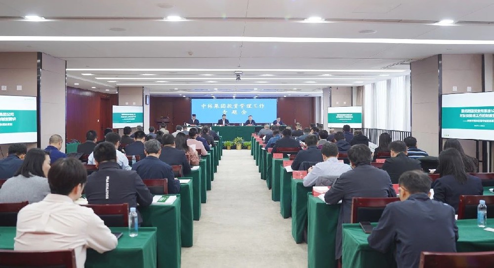 中林集團召開投資管理工作專題會