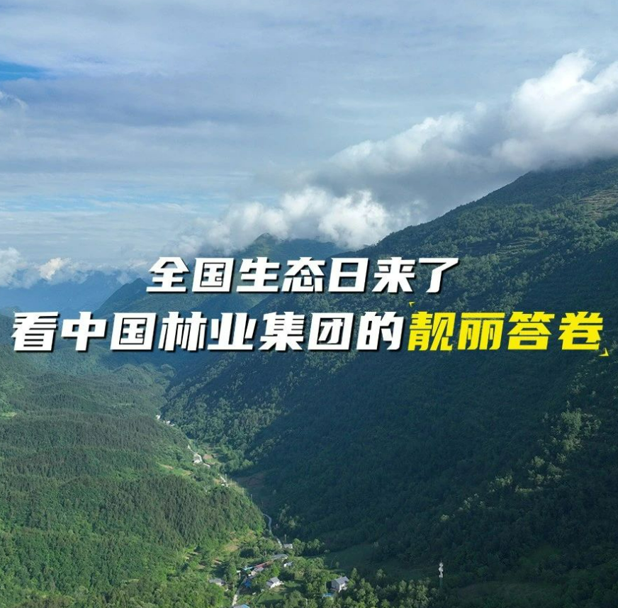 全國(guó)生態(tài)日來(lái)了！看中國(guó)林業(yè)集團(tuán)的靚麗答卷